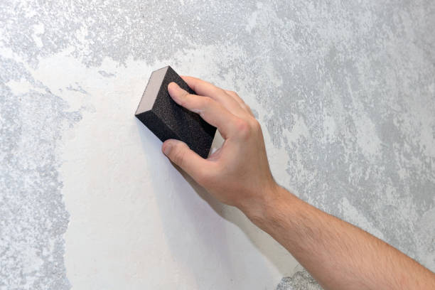 Best Commercial Mold Inspection  in Grand Rapids, MI