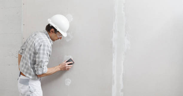Best Black Mold Removal  in Grand Rapids, MI