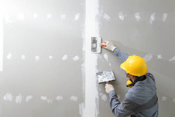 Best Emergency Mold Remediation  in Grand Rapids, MI