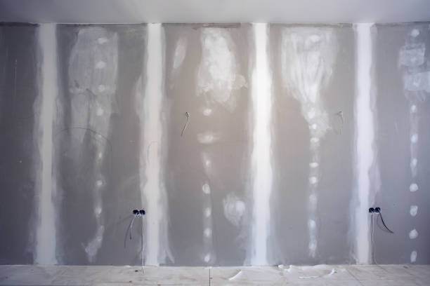 Best Crawl Space Mold Remediation  in Grand Rapids, MI